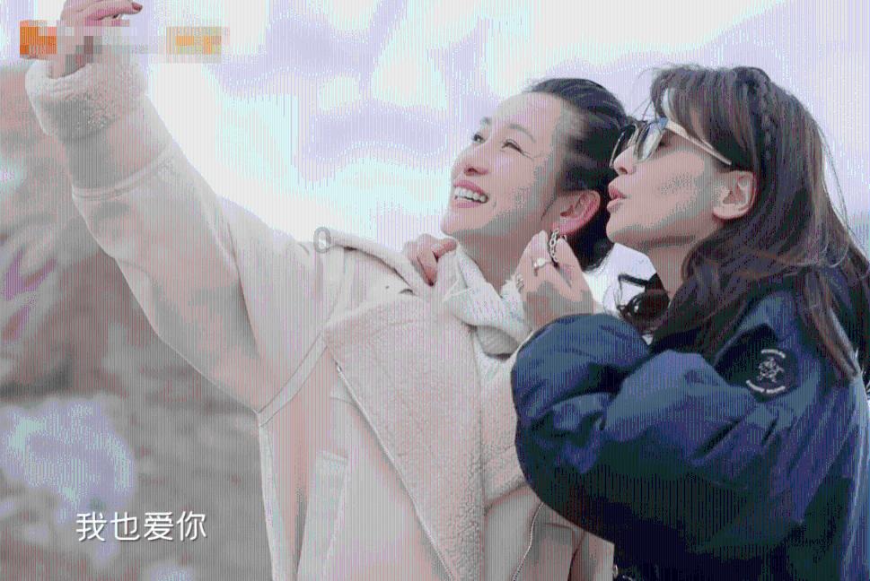 忍者鲨鱼